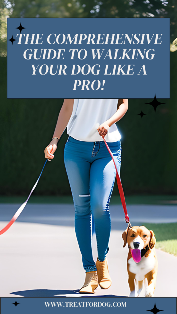 The Complete Guide to Leash Training Your Dog