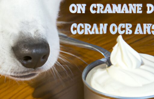 can dogs eat sour cream