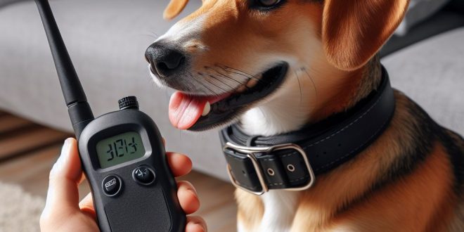 e collar training for dogs